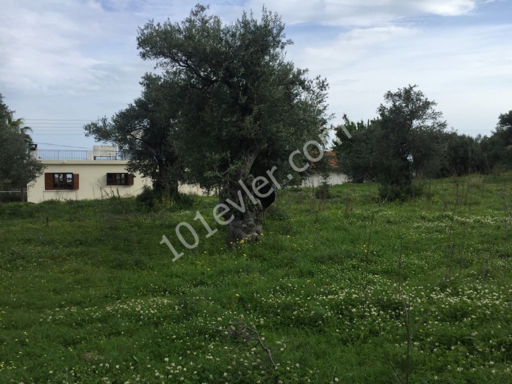 KYRENIA/Karşıyaka village around 2.5 Dönüms of PLOT with excellent sea and mountain views