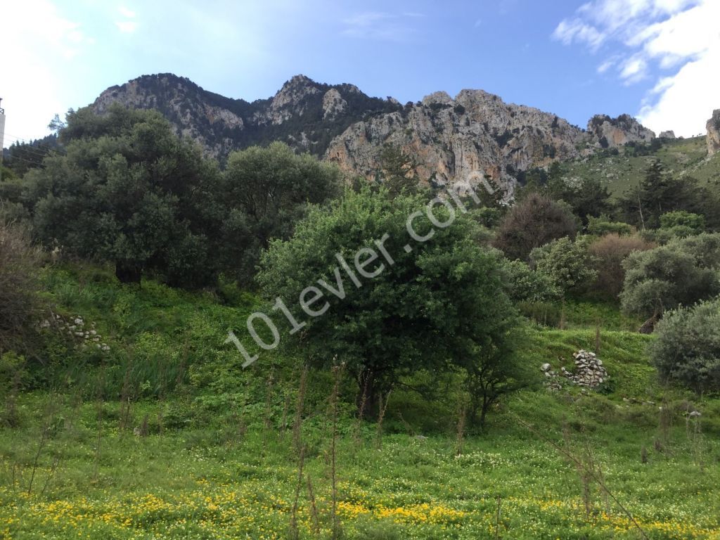 KYRENIA/Karşıyaka village around 2.5 Dönüms of PLOT with excellent sea and mountain views