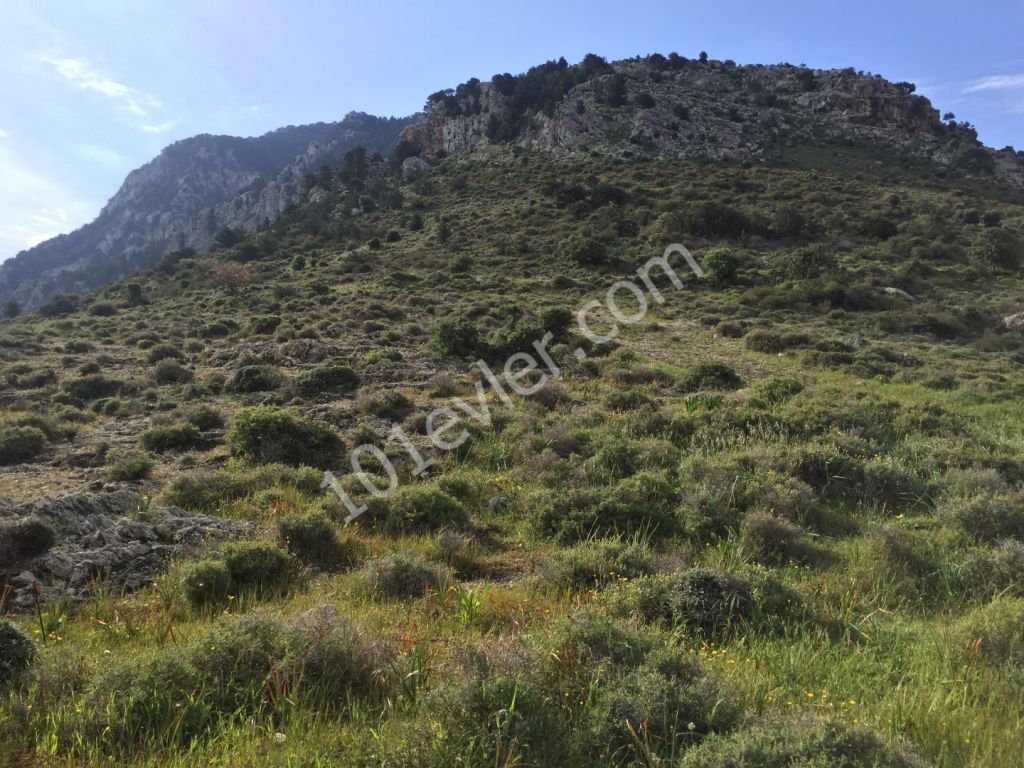 KYRENIA/Karşıyaka village 1 dönüm PLOT WITH EXCELLENT SEA VIEWS - UNITTERRUPTABLE SEA VIEWS