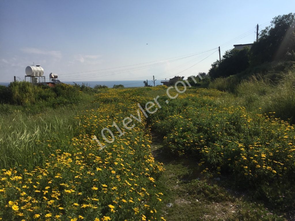 KYRENIA/ Karşıyaka village ! Dönüm + 1 Evlek + 800 Sq.ft. beautiful PLOT with sea and mountain views