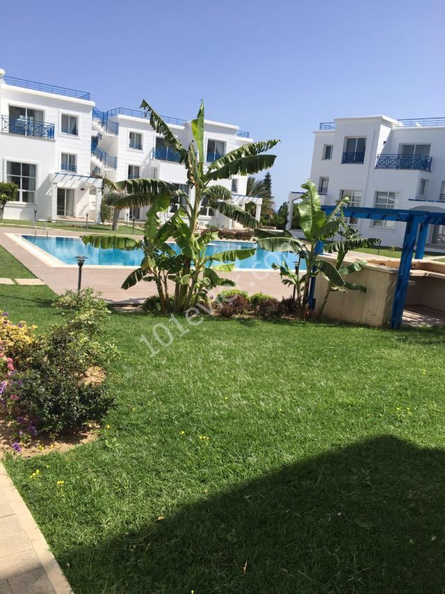 Flat To Rent in Alsancak, Kyrenia