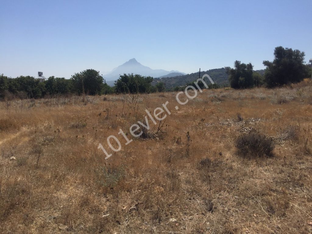 KYRENIA, Kayalar village beautiful 5 Dönüm + 1 evlek ( 7,024 m2 )  PLOT FOR VILLA DEVELOPMENT 