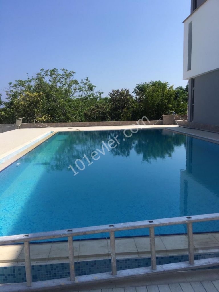 Flat To Rent in Lapta, Kyrenia