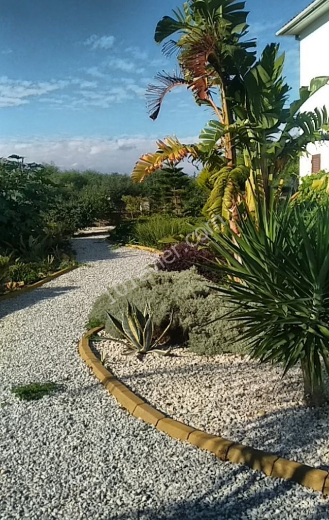 Villa Kaufen in Lapta, Kyrenia