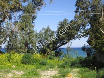 Villa For Sale in Lapta, Kyrenia