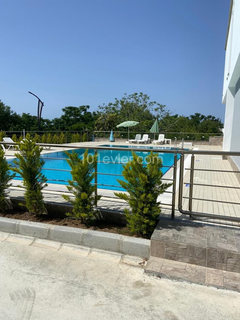 Residance 1+1 Apartment Flat in Lapta with communal swimming pool 