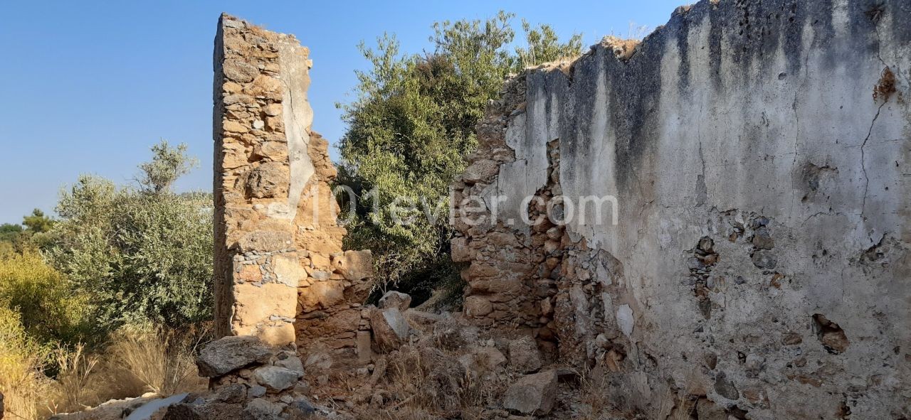 A potential renovation project for  whom likes an old stone house in Lapta 