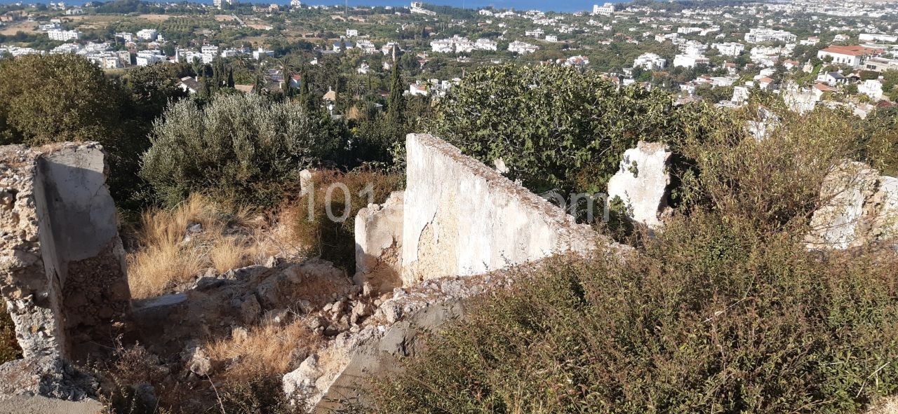 A potential renovation project for  whom likes an old stone house in Lapta 