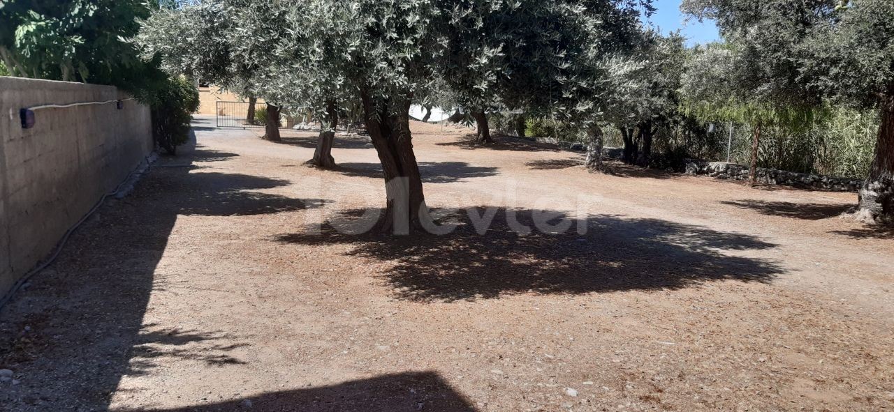 BEAUTIFUL STONE BUNGALOW WITH 3 BEDROOMS and LARGE GARDEN WITH OLIVE TREES and water well 