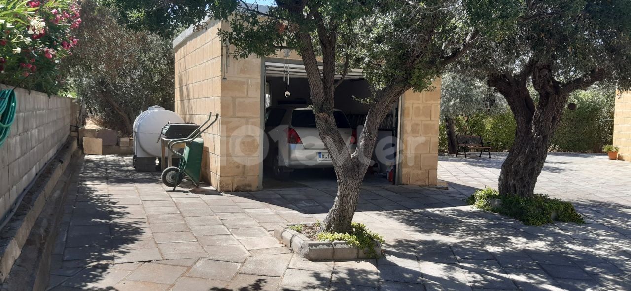 BEAUTIFUL STONE BUNGALOW WITH 3 BEDROOMS and LARGE GARDEN WITH OLIVE TREES and water well 