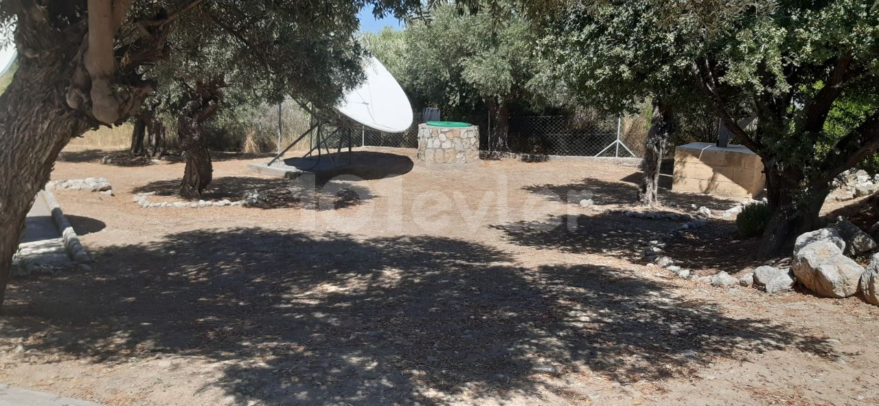 BEAUTIFUL STONE BUNGALOW WITH 3 BEDROOMS and LARGE GARDEN WITH OLIVE TREES and water well 