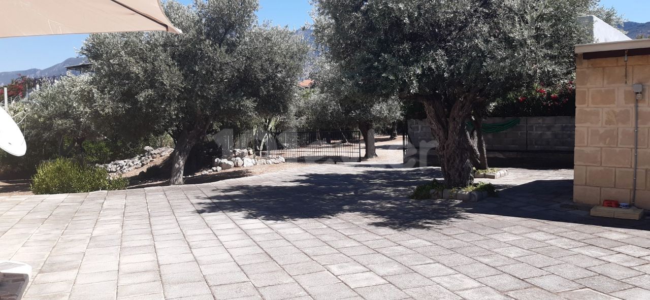 BEAUTIFUL STONE BUNGALOW WITH 3 BEDROOMS and LARGE GARDEN WITH OLIVE TREES and water well 