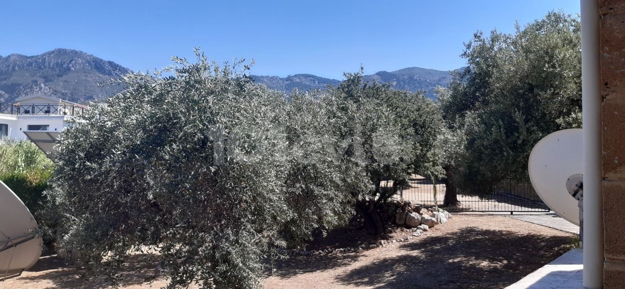 BEAUTIFUL STONE BUNGALOW WITH 3 BEDROOMS and LARGE GARDEN WITH OLIVE TREES and water well 