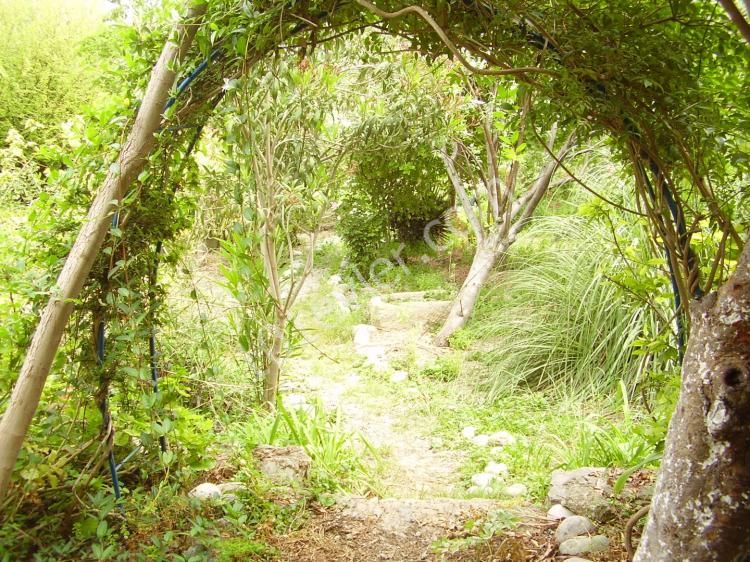 Einfamilienhaus Mieten in Lapta, Kyrenia