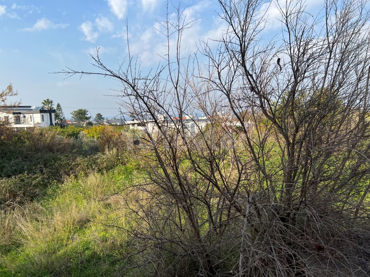 Halbbauvilla mit 5 Schlafzimmern in Çatalköy, Kyrenia