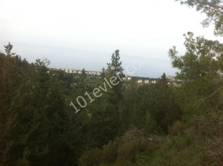 OPPORTUNITY INVESTMENT in Esentepe / Kyrenia area with 19 villa PROJECT. 