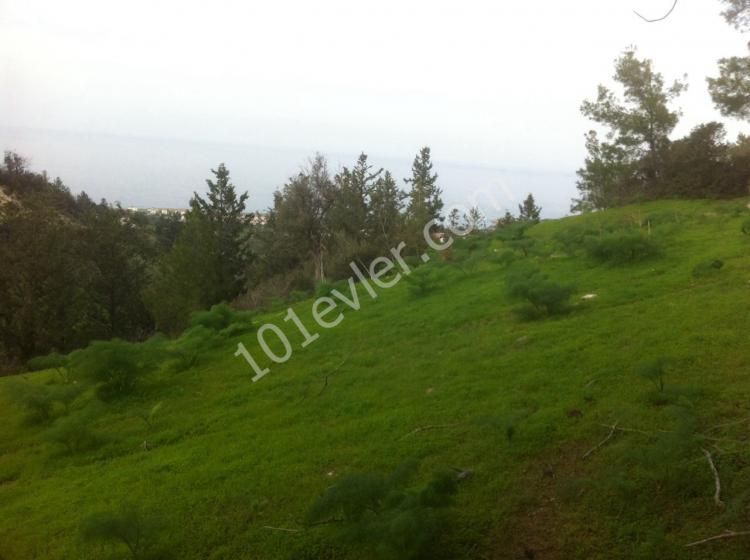 OPPORTUNITY INVESTMENT in Esentepe / Kyrenia area with 19 villa PROJECT. 