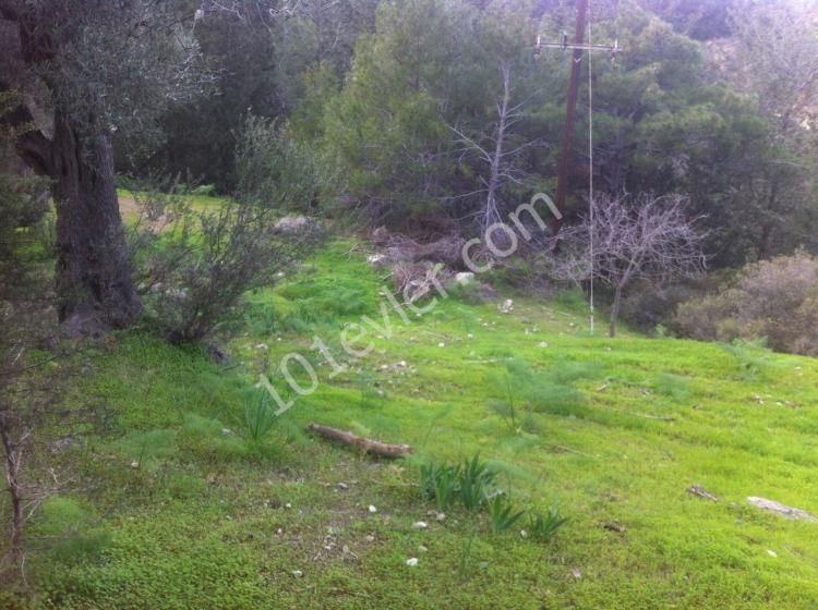 OPPORTUNITY INVESTMENT in Esentepe / Kyrenia area with 19 villa PROJECT. 