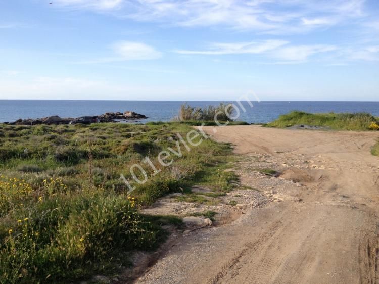 منطقه مسکونی برای فروش in Lapta, گیرنه