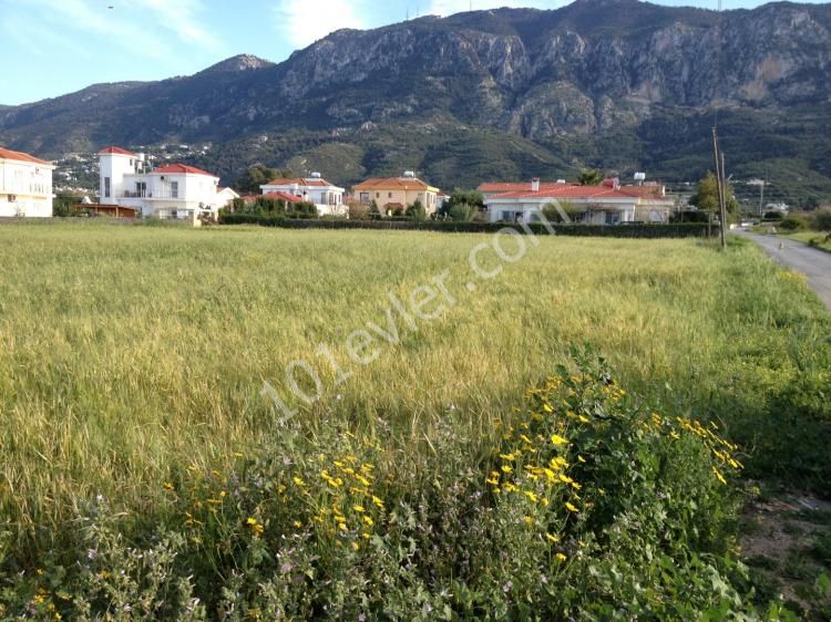 Wohngebiet Kaufen in Lapta, Kyrenia