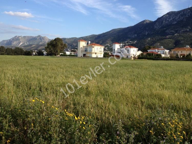 منطقه مسکونی برای فروش in Lapta, گیرنه