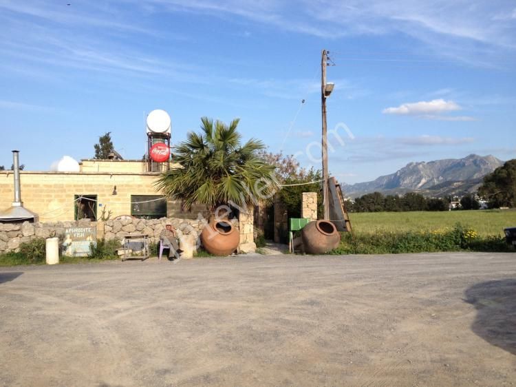 منطقه مسکونی برای فروش in Lapta, گیرنه