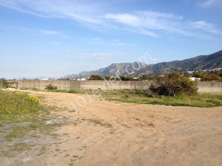 منطقه مسکونی برای فروش in Lapta, گیرنه