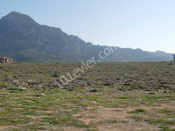 رشته برای فروش in Karşıyaka, گیرنه