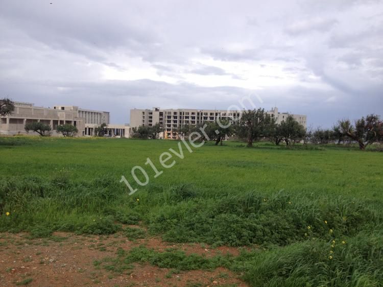 INVESTMENT LAND ON THE MAIN ROAD 9 DONUMS + 200 SQUARE FEET