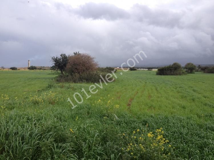 INVESTMENT LAND ON THE MAIN ROAD 9 DONUMS + 200 SQUARE FEET
