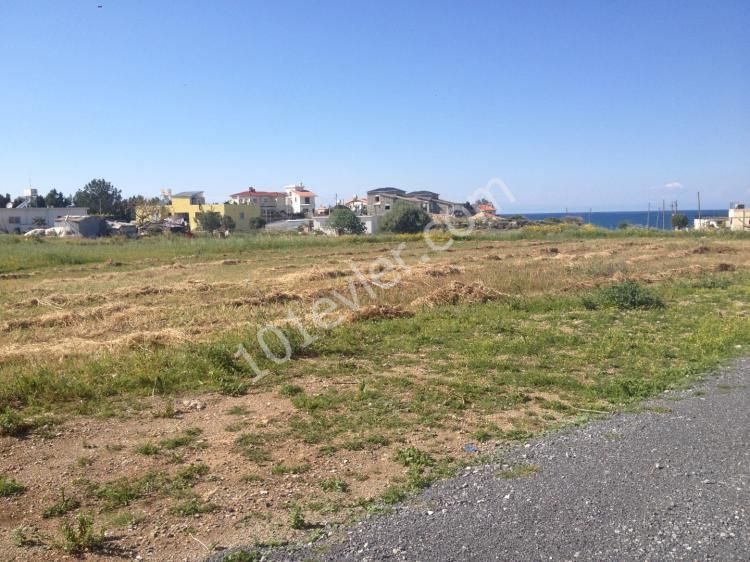 BEAUTIFUL PLOT VERY CLOSE TO THE SEA