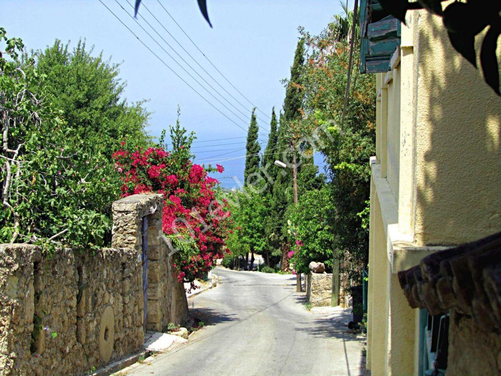 خانه مستقل برای اجاره in Lapta, گیرنه