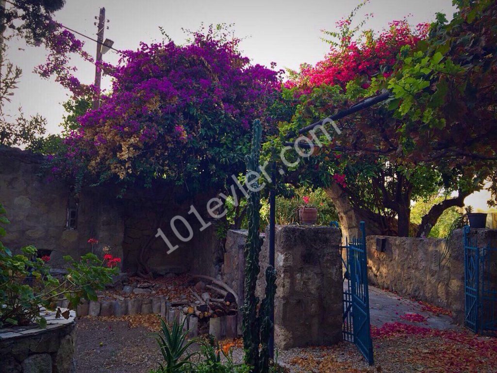 Einfamilienhaus Mieten in Lapta, Kyrenia