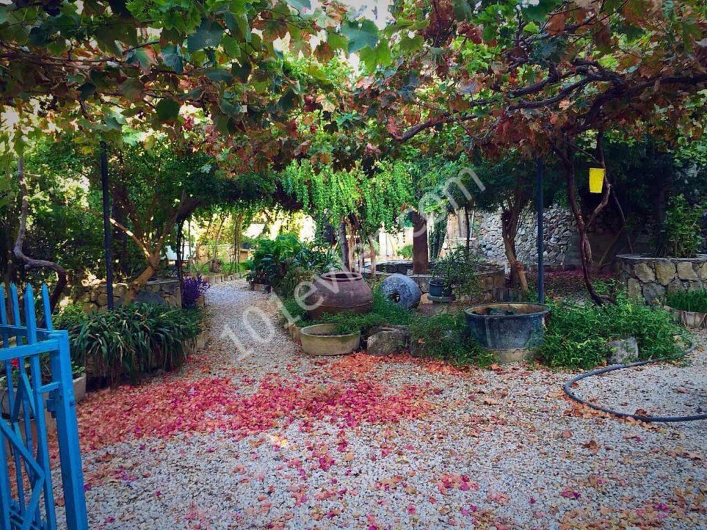 Einfamilienhaus Mieten in Lapta, Kyrenia