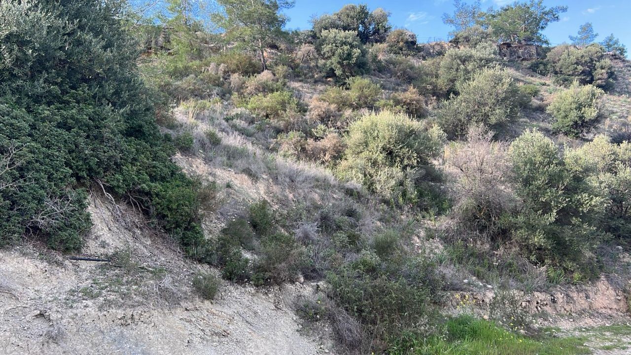 در گیرنه، روستای کراغاچ، 2 دونوم + 1 زمین معادل اولک، وضعیت منطقه بندی 35٪، جاده عمومی موجود است. Doğan BORANSEL : +90-5338671911