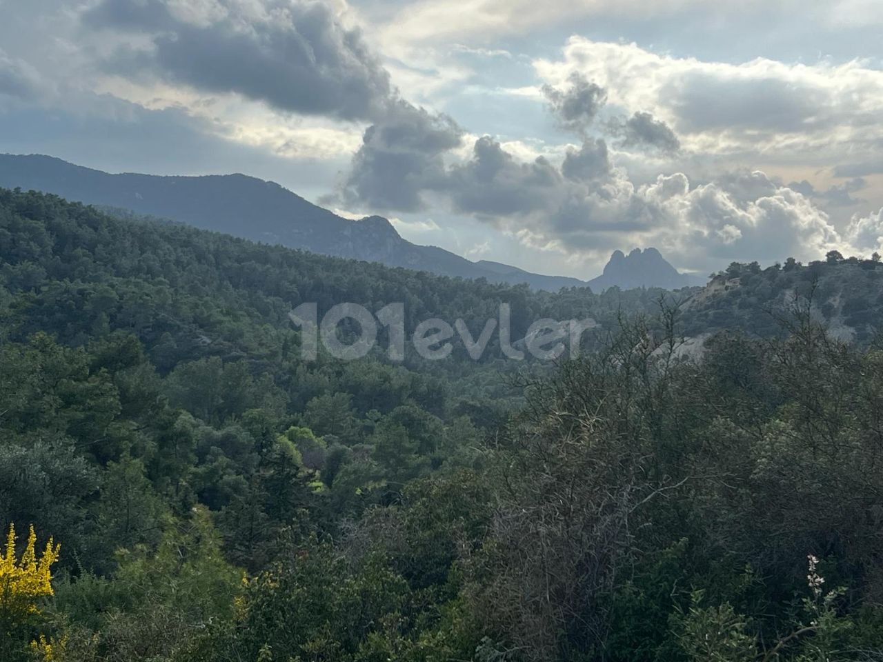 در گیرنه، روستای کراغاچ، 2 دونوم + 1 زمین معادل اولک، وضعیت منطقه بندی 35٪، جاده عمومی موجود است. Doğan BORANSEL : +90-5338671911