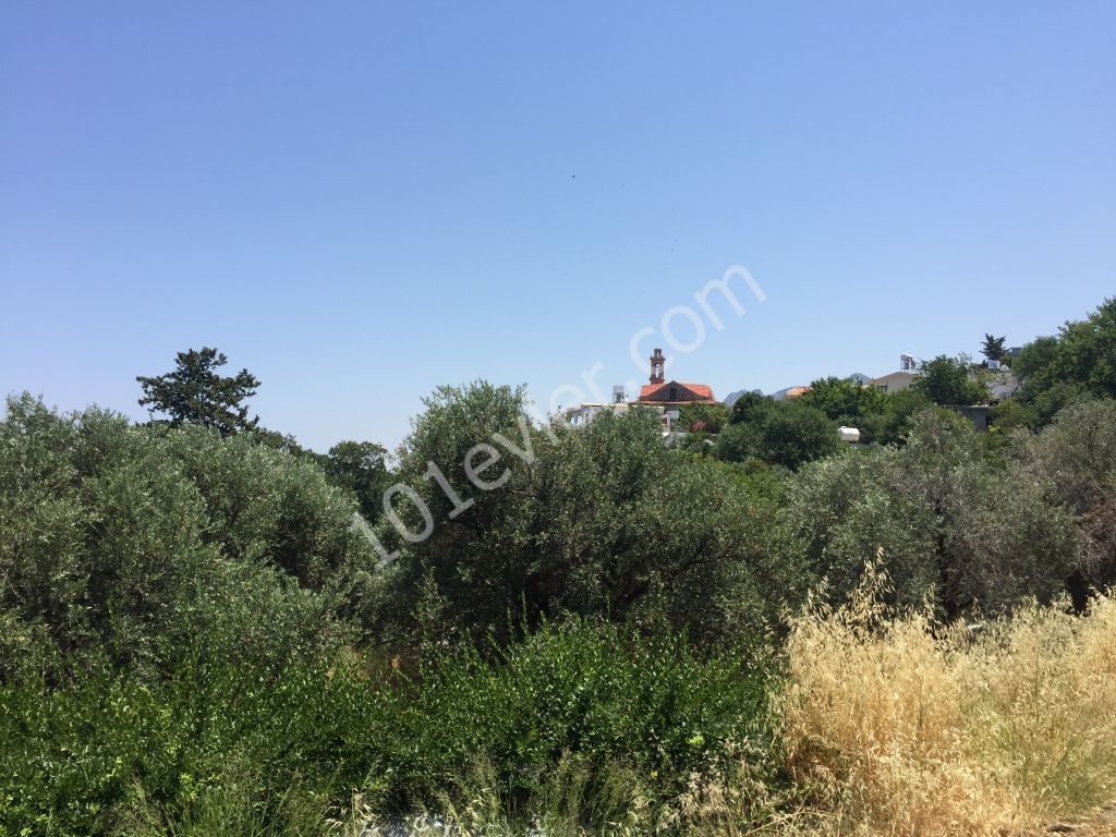 Beautiful plot with excellent sea views-uninterruptable SEA views- Both  PRIVATE  and/or COMMERCAL plot 90% Building permission  : DOĞAN BORANSEL 0533-8671911