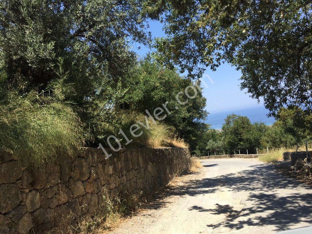 Beautiful plot with excellent sea views-uninterruptable SEA views- Both  PRIVATE  and/or COMMERCAL plot 90% Building permission  : DOĞAN BORANSEL 0533-8671911