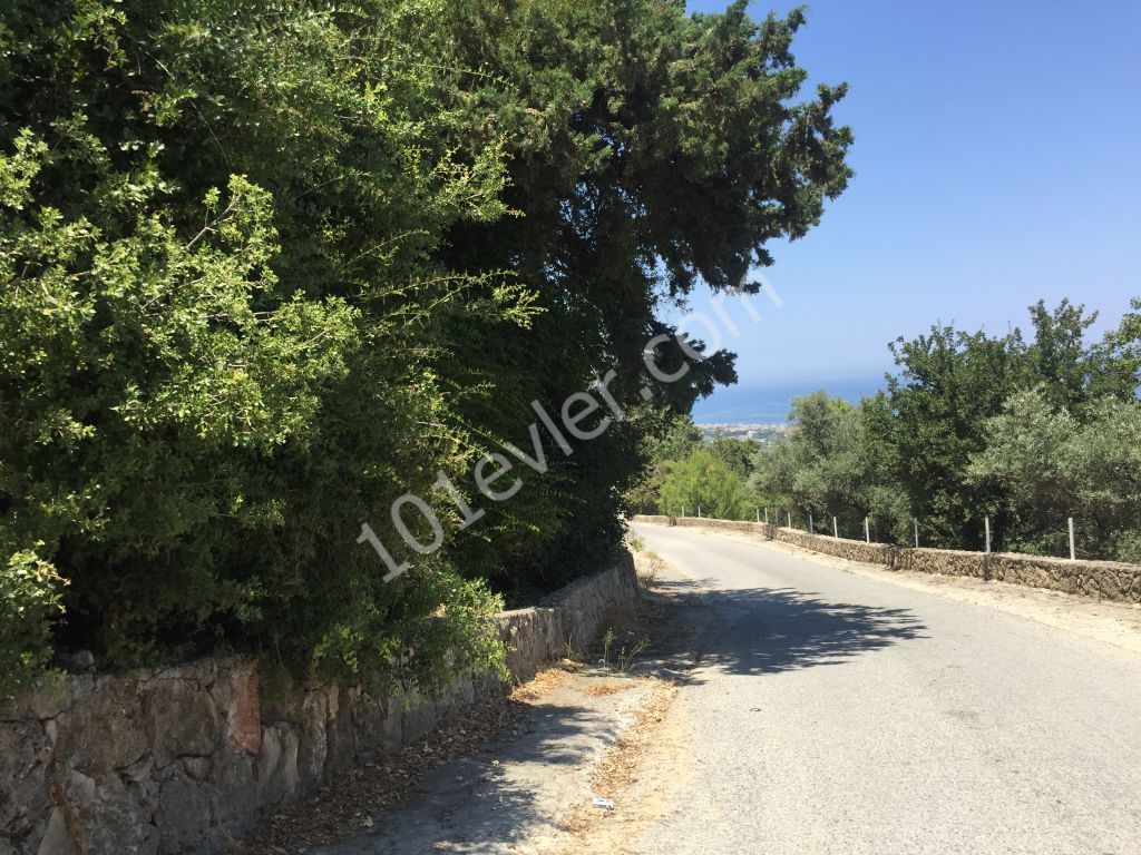 Beautiful plot with excellent sea views-uninterruptable SEA views- Both  PRIVATE  and/or COMMERCAL plot 90% Building permission  : DOĞAN BORANSEL 0533-8671911