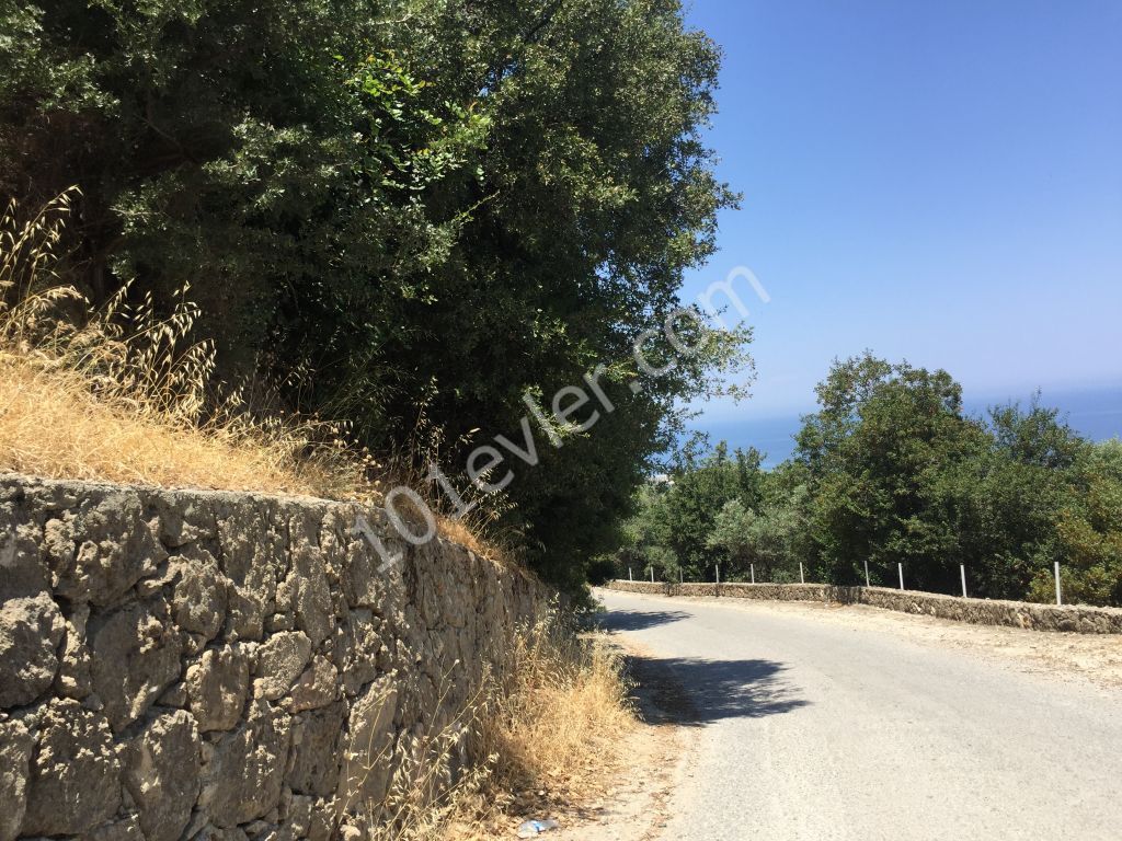 Beautiful plot with excellent sea views-uninterruptable SEA views- Both  PRIVATE  and/or COMMERCAL plot 90% Building permission  : DOĞAN BORANSEL 0533-8671911