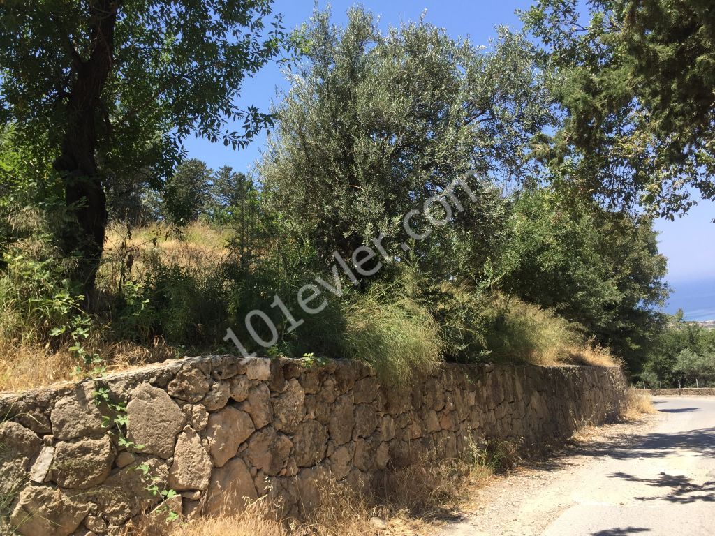 Beautiful plot with excellent sea views-uninterruptable SEA views- Both  PRIVATE  and/or COMMERCAL plot 90% Building permission  : DOĞAN BORANSEL 0533-8671911