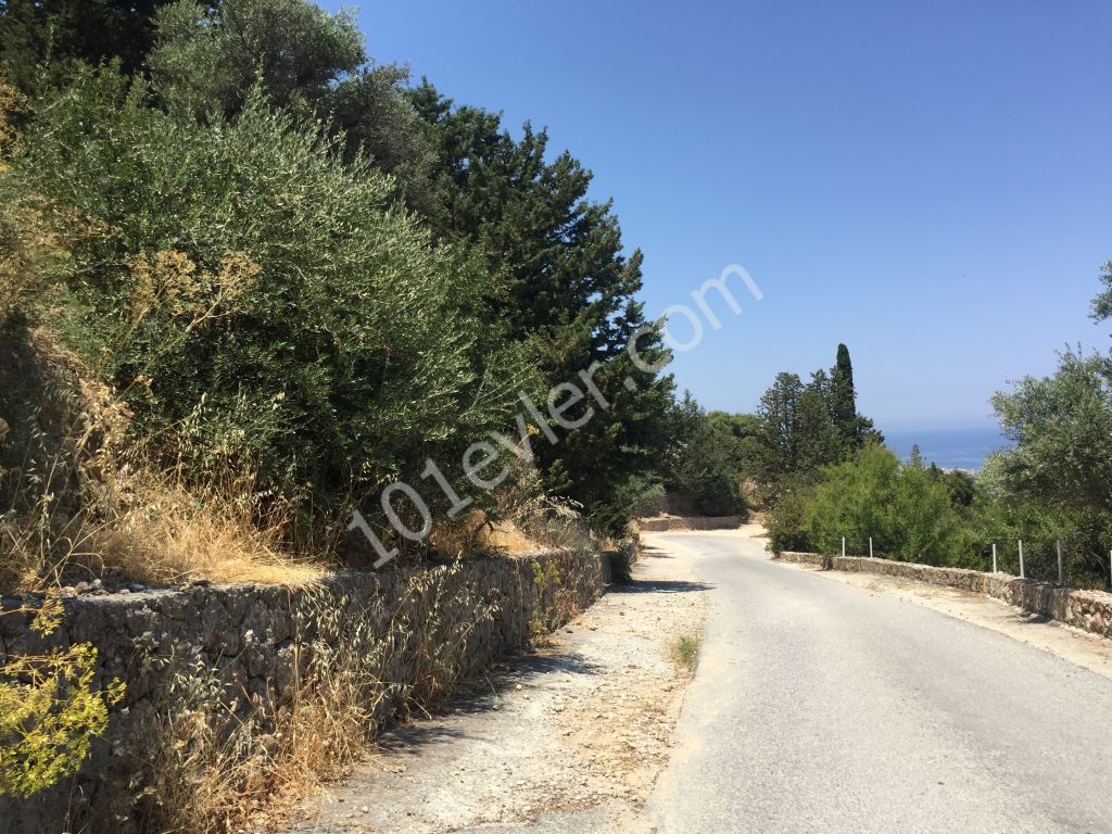 Beautiful plot with excellent sea views-uninterruptable SEA views- Both  PRIVATE  and/or COMMERCAL plot 90% Building permission  : DOĞAN BORANSEL 0533-8671911