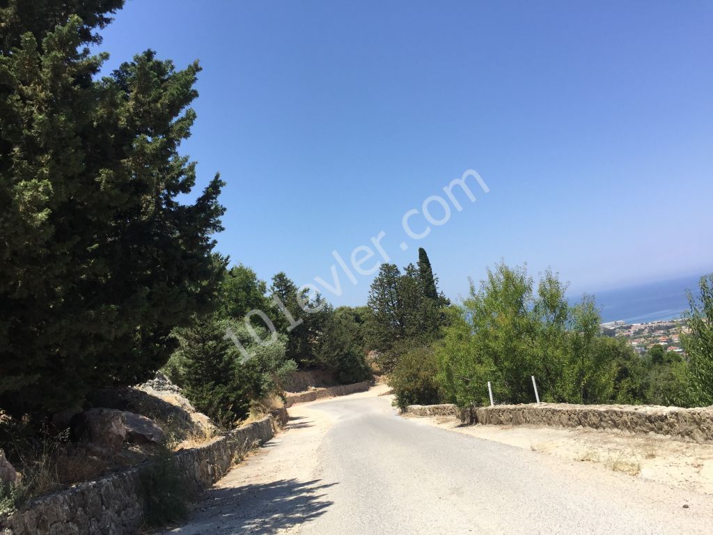 Beautiful plot with excellent sea views-uninterruptable SEA views- Both  PRIVATE  and/or COMMERCAL plot 90% Building permission  : DOĞAN BORANSEL 0533-8671911