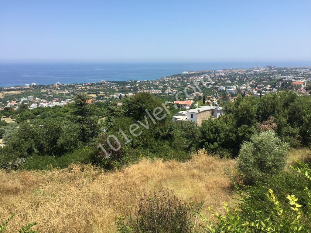 Beautiful plot with excellent sea views-uninterruptable SEA views- Both  PRIVATE  and/or COMMERCAL plot 90% Building permission  : DOĞAN BORANSEL 0533-8671911