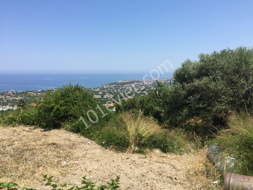 Beautiful plot with excellent sea views-uninterruptable SEA views- Both  PRIVATE  and/or COMMERCAL plot 90% Building permission  : DOĞAN BORANSEL 0533-8671911