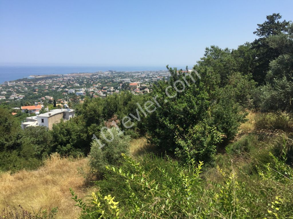 Beautiful plot with excellent sea views-uninterruptable SEA views- Both  PRIVATE  and/or COMMERCAL plot 90% Building permission  : DOĞAN BORANSEL 0533-8671911