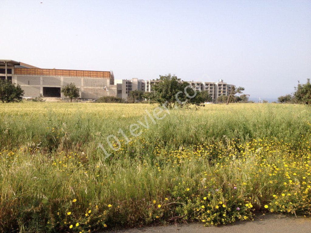 ویلا برای فروش in Arapköy, گیرنه