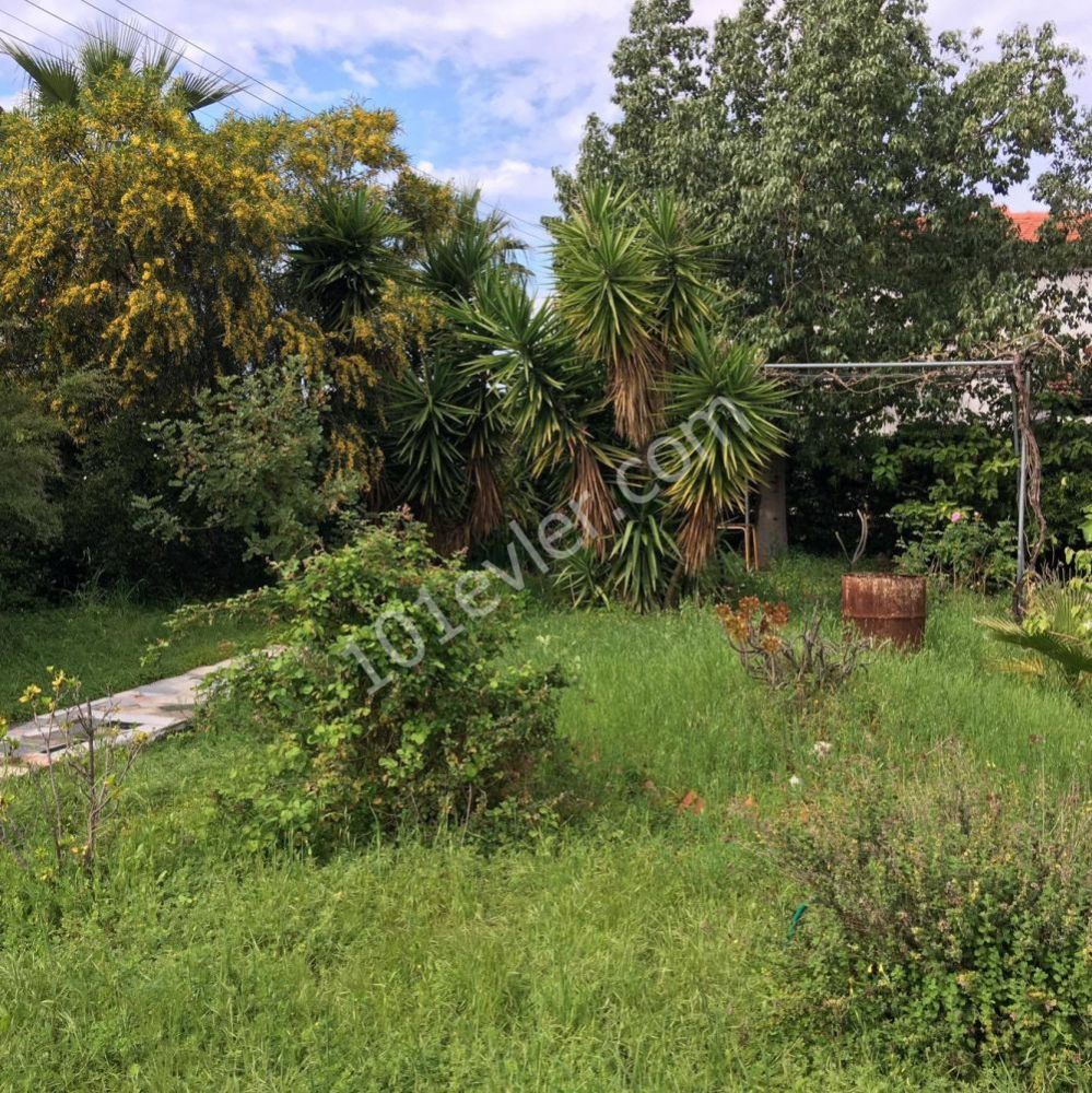 Villa Kaufen in Alsancak, Kyrenia