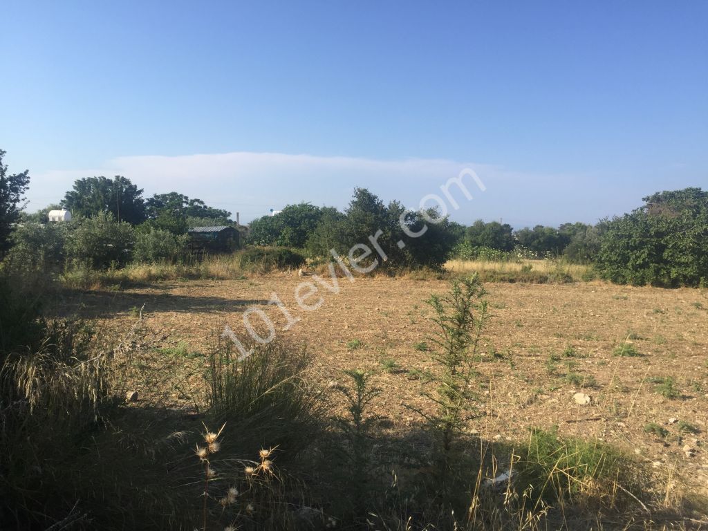 A BUILDING PLOT in  KYRENIA , Karşıyaka village : Contact : Doğan Boransel 0533-8671911