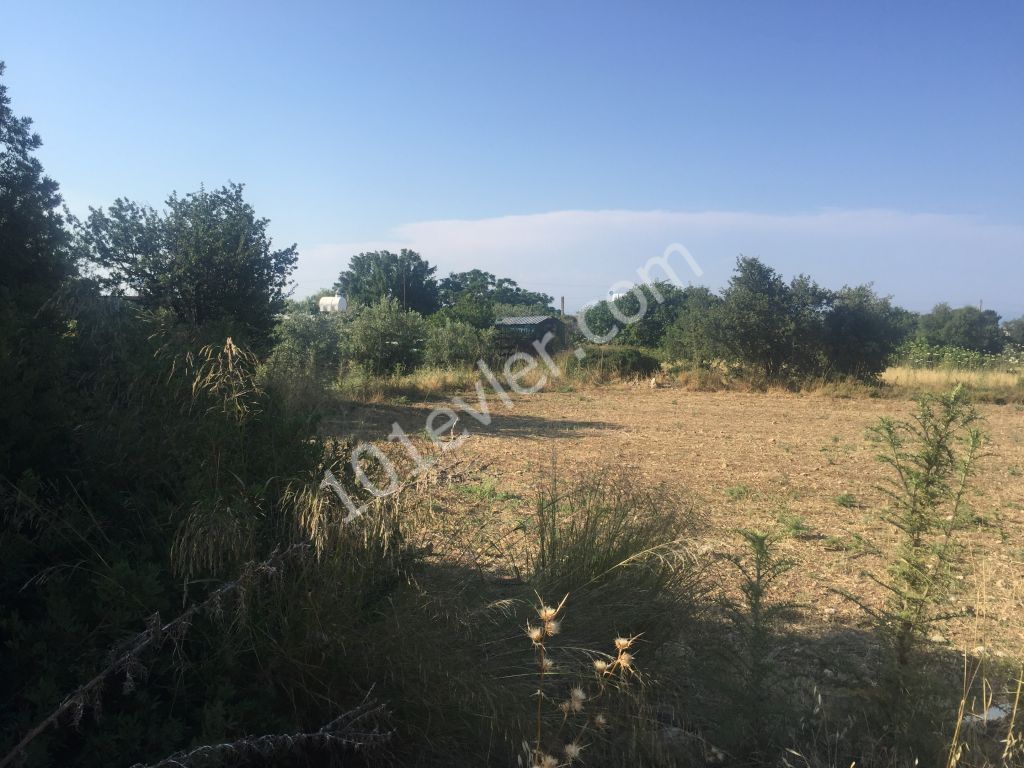 A BUILDING PLOT in  KYRENIA , Karşıyaka village : Contact : Doğan Boransel 0533-8671911